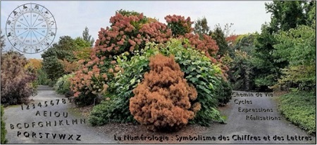 Yves Cecchella - Numérologue